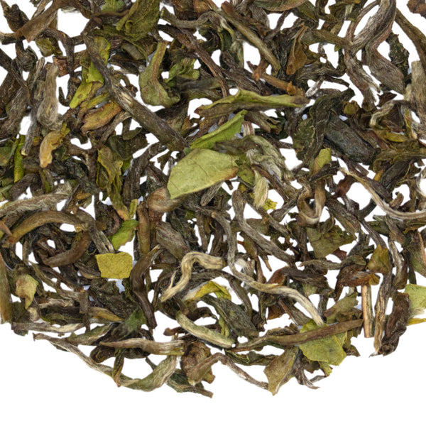 Loose leaf Whistling Warbler Darjeeling 1st Flush black tea