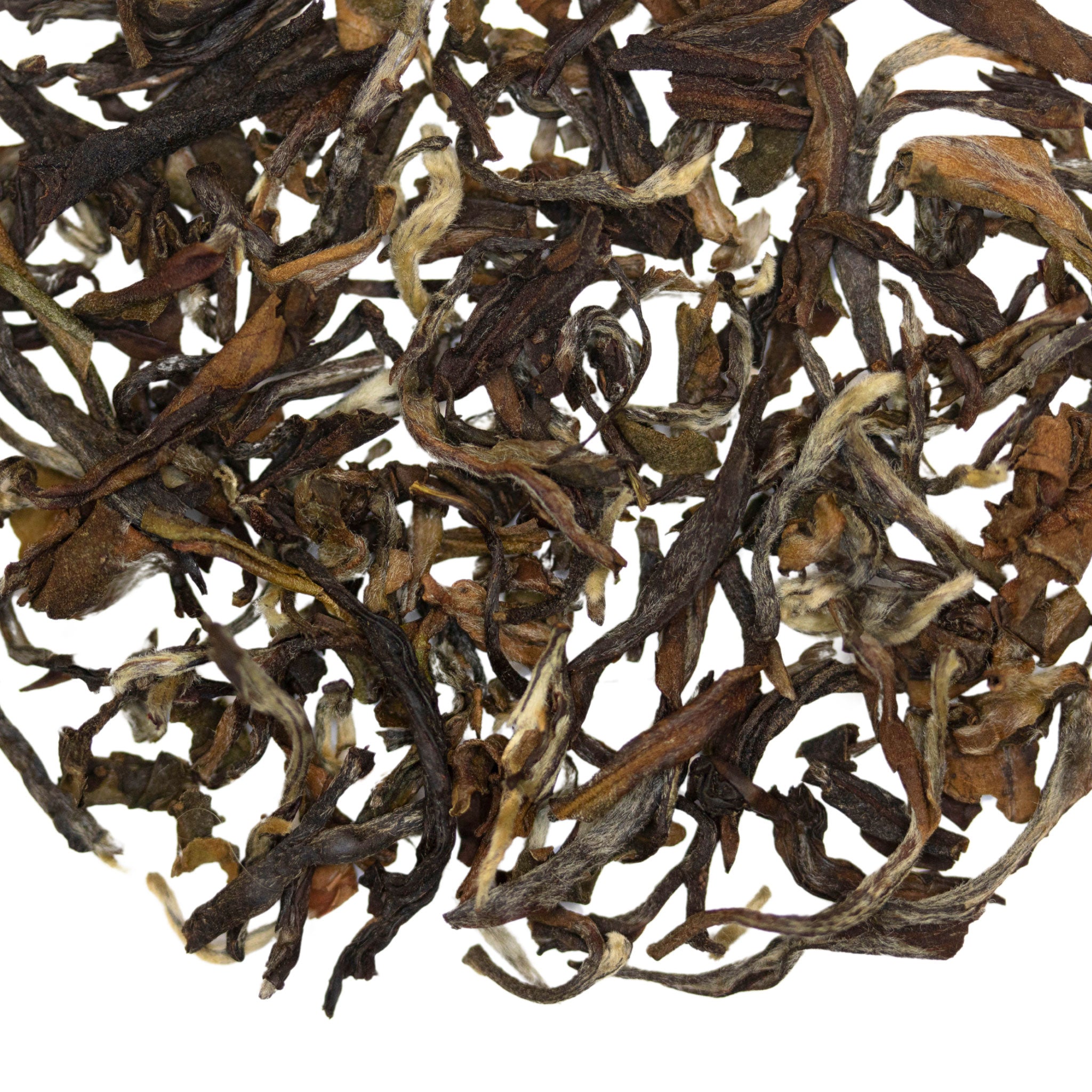 Loose leaf Eurasian Hobby Darjeeling 2nd Flush Indian black tea