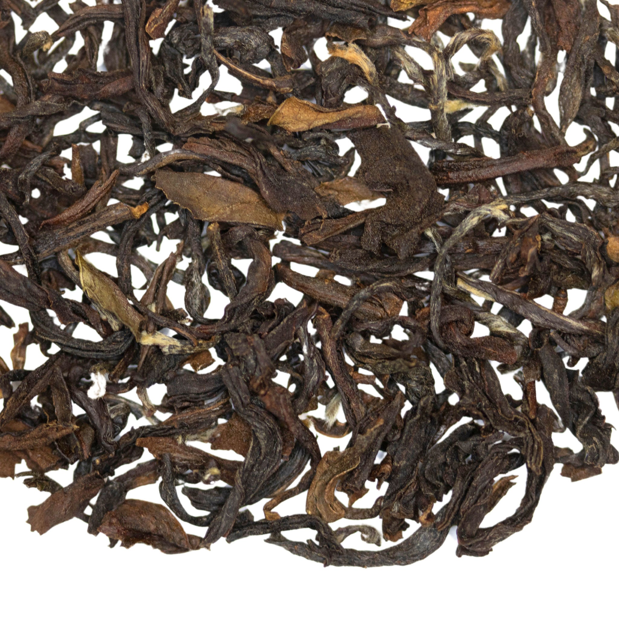 Loose leaf Echo Parakeet Darjeeling 2nd Flush Indian black tea