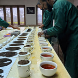 Cupping tea at Mattekelle Estate, Sri Lanka