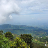 Uva region, Sri Lanka