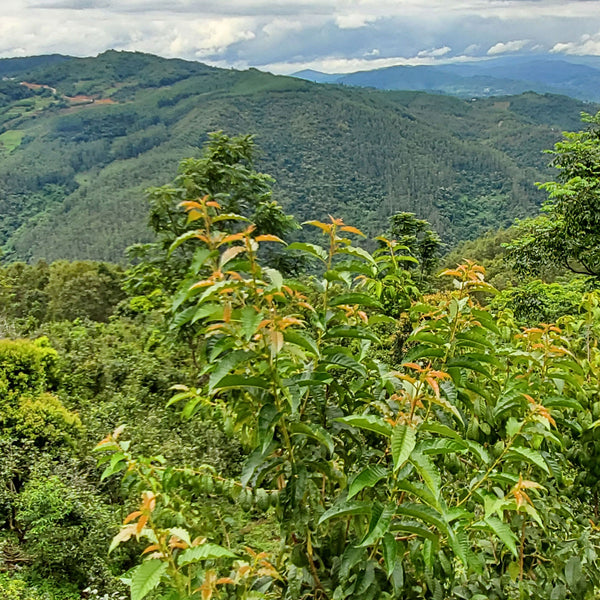 Mountains in Yunnan Province, China