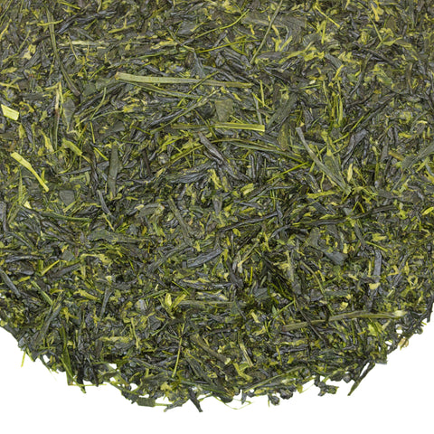 Hot Springs Sencha | Green Tea