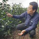 Tea processor Mr. Fumiki Kawaguchi in Sayama town