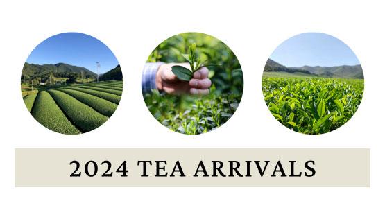 2024 Tea Arrivals